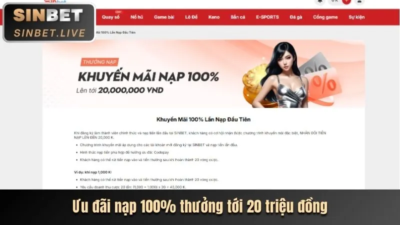 Sự kiện đặc biệt và ưu đãi độc quyền